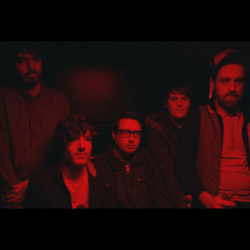 Hookworms