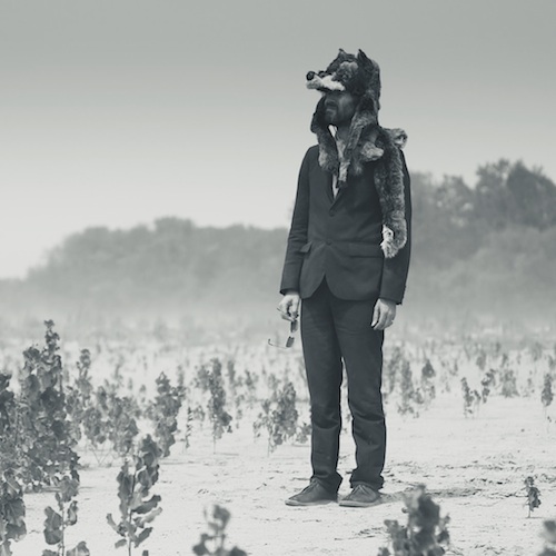 Gruff Rhys